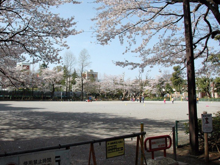 🌳 마바시 공원 (마바시코엔) 이미지 1